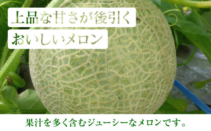 熊本県八代市のふるさと納税 産地直送 クインシーメロン 2玉 約3kg クインシー メロン めろん 赤肉メロン 赤肉 果物 くだもの フルーツ デザート 贈り物 国産 熊本県 八代市