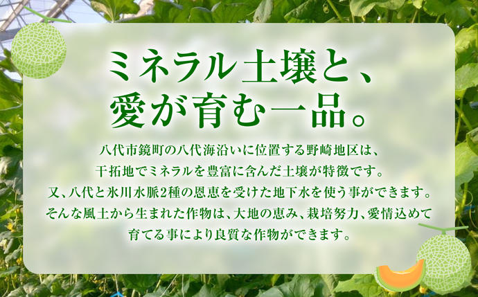 熊本県八代市のふるさと納税 産地直送 クインシーメロン 2玉 約3kg クインシー メロン めろん 赤肉メロン 赤肉 果物 くだもの フルーツ デザート 贈り物 国産 熊本県 八代市