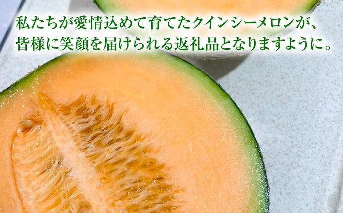 熊本県八代市のふるさと納税 産地直送 クインシーメロン 2玉 約3kg クインシー メロン めろん 赤肉メロン 赤肉 果物 くだもの フルーツ デザート 贈り物 国産 熊本県 八代市