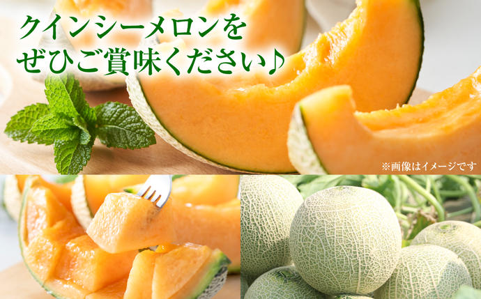 熊本県八代市のふるさと納税 産地直送 クインシーメロン 2玉 約3kg クインシー メロン めろん 赤肉メロン 赤肉 果物 くだもの フルーツ デザート 贈り物 国産 熊本県 八代市