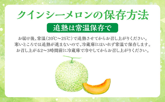 熊本県八代市のふるさと納税 産地直送 クインシーメロン 2玉 約3kg クインシー メロン めろん 赤肉メロン 赤肉 果物 くだもの フルーツ デザート 贈り物 国産 熊本県 八代市
