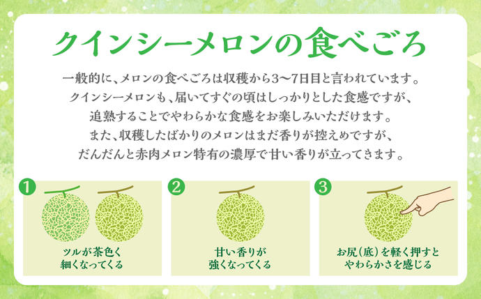熊本県八代市のふるさと納税 産地直送 クインシーメロン 2玉 約3kg クインシー メロン めろん 赤肉メロン 赤肉 果物 くだもの フルーツ デザート 贈り物 国産 熊本県 八代市