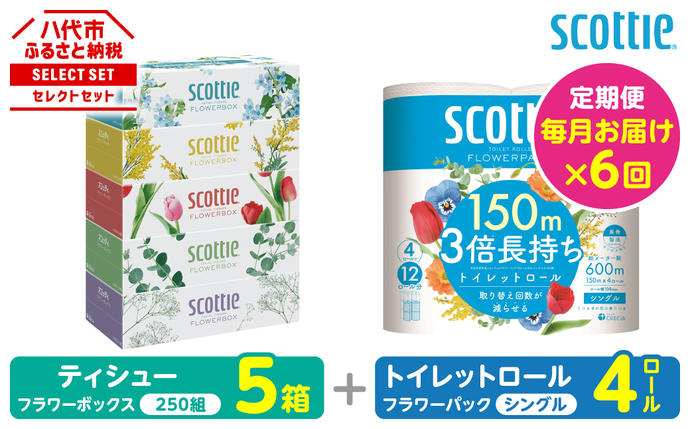 【定期便6回】【毎月お届け】【スコッティ】