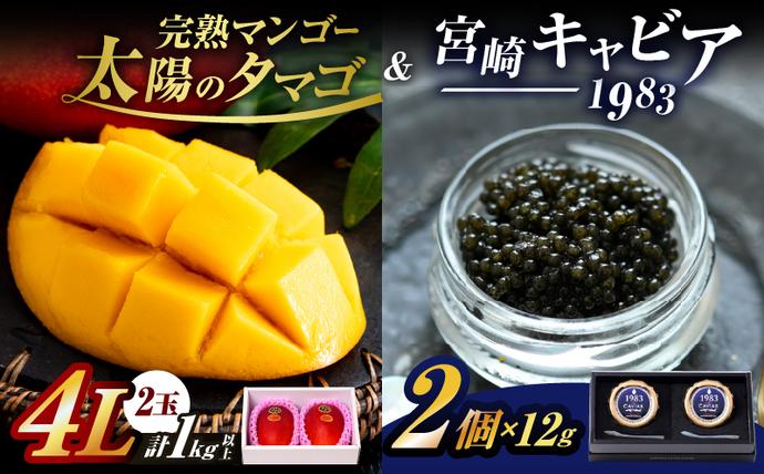 完熟マンゴー 太陽のタマゴ (4L×2玉) & 宮崎キャビア1983 2個 期間限定 数量限定 宮崎 マンゴー フルーツ 果物 くだもの キャビア 魚介 魚卵 詰め合わせ 国産 食品 希少 デザート おすすめ 冷蔵 ご褒美 贅沢 選べる ギフト 贈り物 日南市 送料無料_NG1-25