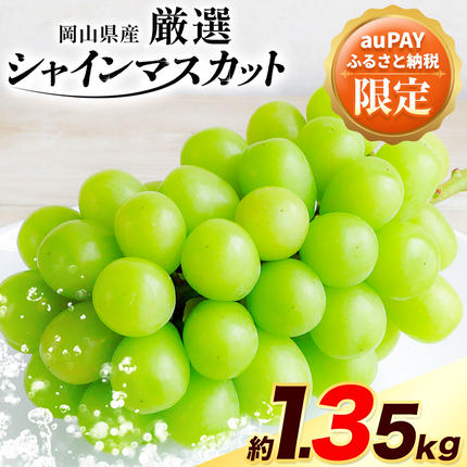 [三太郎の日限定]ご家庭用 訳あり 岡山県産 厳選 シャインマスカット 約 1.35kg 2房 ≪2026年9月上旬-11月上旬頃に出荷≫ シャイン マスカット 岡山 浅口市