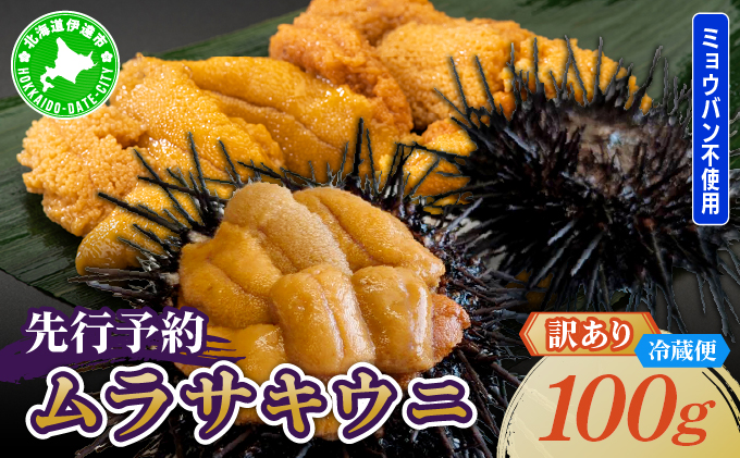 ＜先行予約＞ 北海道産 ムラサキウニ（訳あ