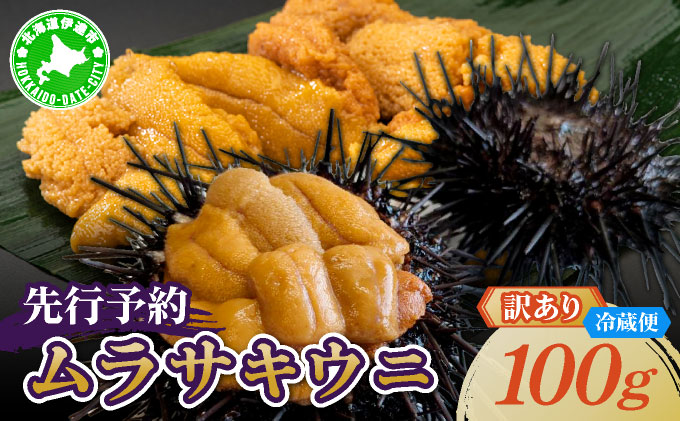 ＜先行予約＞ 北海道産 ムラサキウニ（訳あ