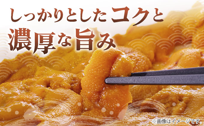 北海道伊達市のふるさと納税 ＜先行予約＞ 北海道産 ムラサキウニ（訳あり）100g【ogm-028】生うに 塩水うに ミョウバン不使用 海鮮 訳あり 国産 北海道 伊達 ふるさと納税