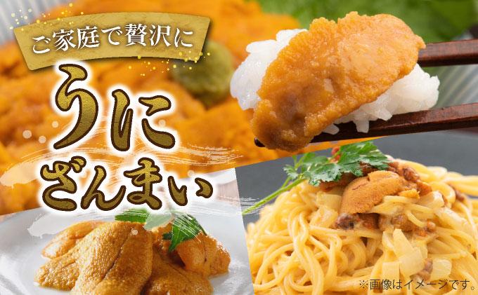 北海道伊達市のふるさと納税 ＜先行予約＞ 北海道産 ムラサキウニ（訳あり）100g【ogm-028】生うに 塩水うに ミョウバン不使用 海鮮 訳あり 国産 北海道 伊達 ふるさと納税