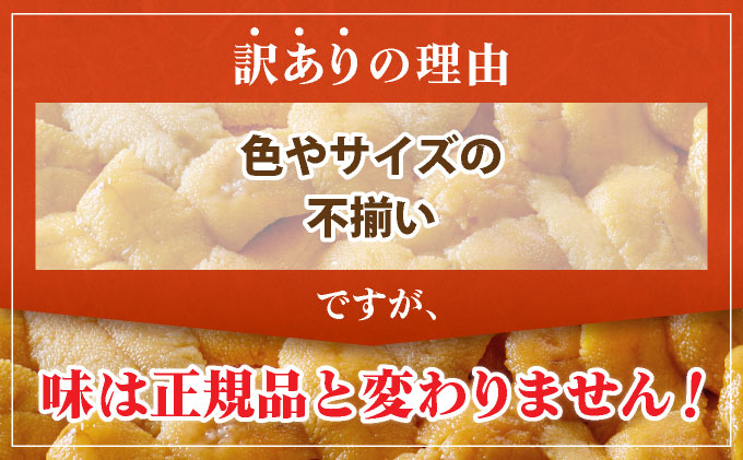 北海道伊達市のふるさと納税 ＜先行予約＞ 北海道産 ムラサキウニ（訳あり）100g【ogm-028】生うに 塩水うに ミョウバン不使用 海鮮 訳あり 国産 北海道 伊達 ふるさと納税
