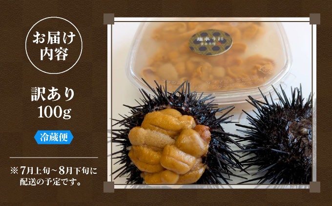 北海道伊達市のふるさと納税 ＜先行予約＞ 北海道産 ムラサキウニ（訳あり）100g【ogm-028】生うに 塩水うに ミョウバン不使用 海鮮 訳あり 国産 北海道 伊達 ふるさと納税