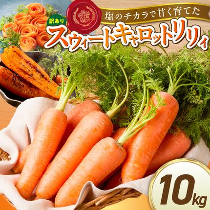 愛知県碧南市のふるさと納税 〈予約受付〉メディア出演多数！【期間限定】（訳あり）鈴盛農園の甘～いにんじん 『スウィートキャロットリリィ』 10kg H022-020