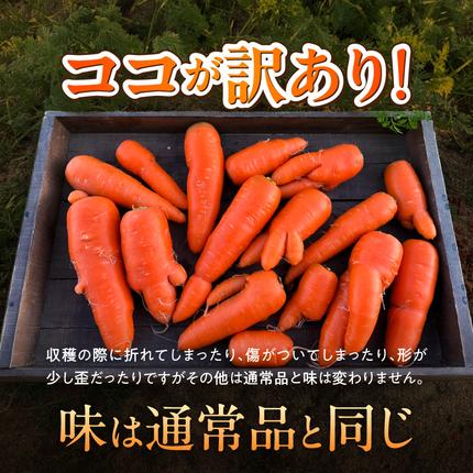 愛知県碧南市のふるさと納税 〈予約受付〉メディア出演多数！【期間限定】（訳あり）鈴盛農園の甘～いにんじん 『スウィートキャロットリリィ』 10kg H022-020