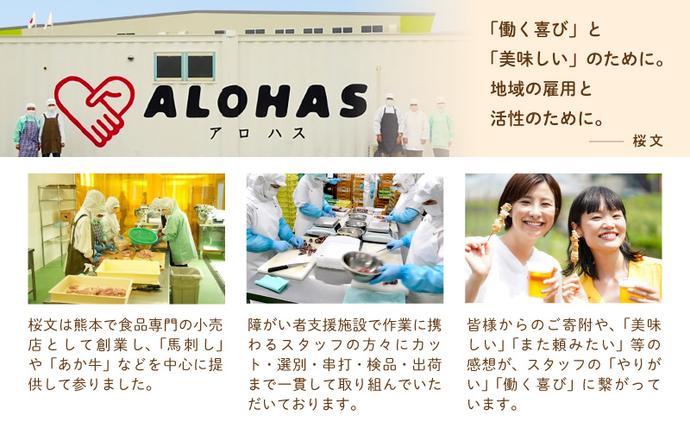 大阪府泉佐野市のふるさと納税 桜文 馬肉ハンバーグ 総量1.2kg（120g×10個） 個包装 005A658