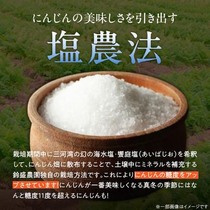 愛知県碧南市のふるさと納税 メディア出演多数！！ 【期間限定】3/15まで受付！（訳あり）鈴盛農園の甘～いにんじん 『スウィートキャロットリリィ』 5kg 人参 甘い ご家庭用 ジュース サラダ スムージー ジューシー 安心 H022-019