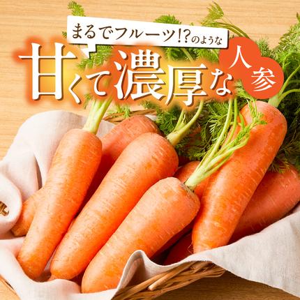 愛知県碧南市のふるさと納税 〈予約受付〉メディア出演多数！【期間限定】（訳あり）鈴盛農園の甘～いにんじん 『スウィートキャロットリリィ』 10kg H022-020