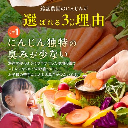 愛知県碧南市のふるさと納税 〈予約受付〉メディア出演多数！【期間限定】（訳あり）鈴盛農園の甘～いにんじん 『スウィートキャロットリリィ』 10kg H022-020