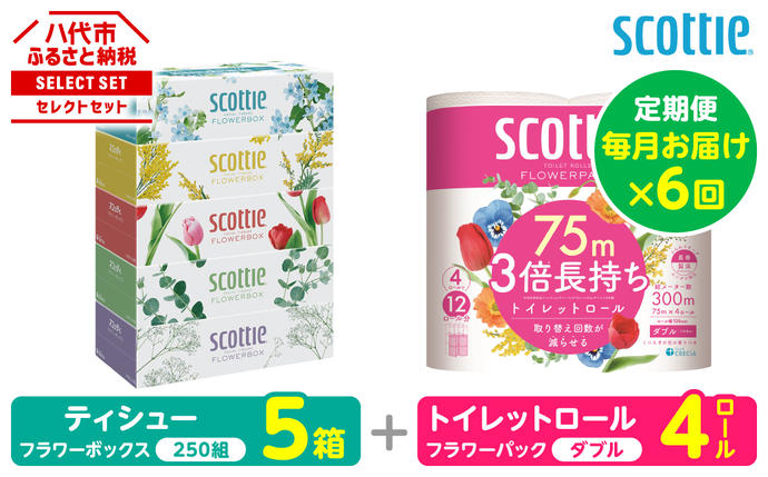 【定期便6回】【毎月お届け】【スコッティ】