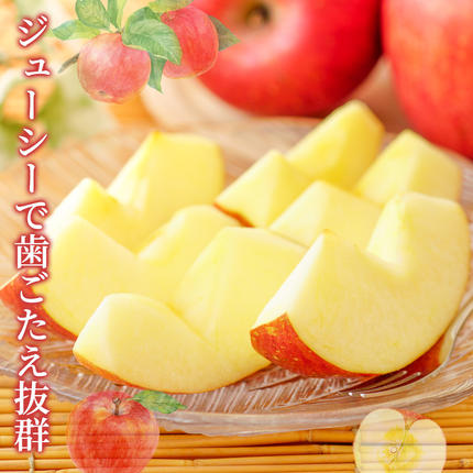 長野県小諸市のふるさと納税 りんご 自家用りんご サンふじ 約5kg フルーツ 果物 甘い 林檎