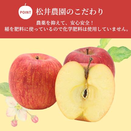 長野県小諸市のふるさと納税 りんご 自家用りんご サンふじ 約5kg フルーツ 果物 甘い 林檎