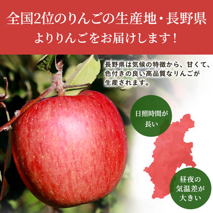 長野県小諸市のふるさと納税 りんご 自家用りんご サンふじ 約5kg フルーツ 果物 甘い 林檎
