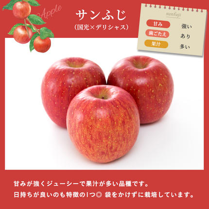 長野県小諸市のふるさと納税 りんご 自家用りんご サンふじ 約5kg フルーツ 果物 甘い 林檎