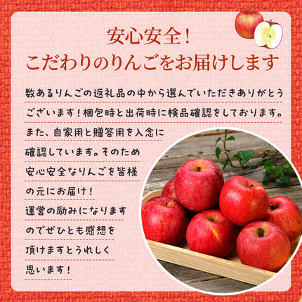 長野県小諸市のふるさと納税 りんご 自家用りんご サンふじ 約5kg フルーツ 果物 甘い 林檎
