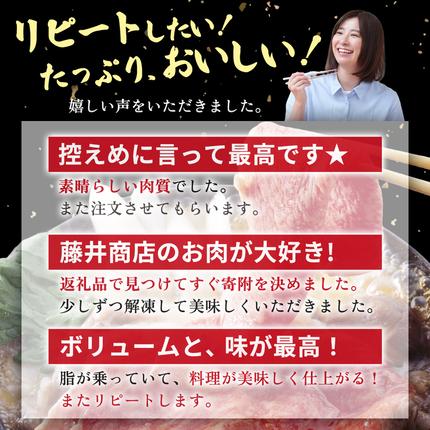 茨城県つくばみらい市のふるさと納税 【定期便】 全3回 【 常陸牛 】 切り落とし 900g（450g×2） (茨城県共通返礼品) 国産 切落し 焼肉 焼き肉 お肉 A4ランク A5ランク ブランド牛 小分け [BX87-NT]