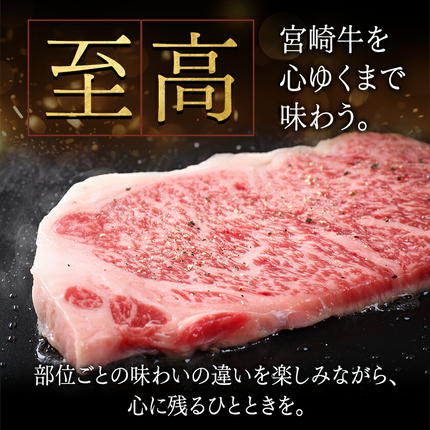 宮崎県都城市のふるさと納税 宮崎牛(A5)ステーキ食べ比べ300g_AC-01-004