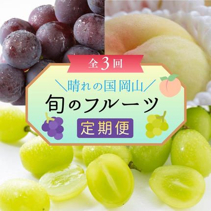 ＜定期便3回＞ 岡山白桃、シャインマスカッ