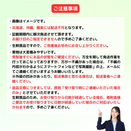 岡山県鏡野町のふるさと納税 ＜定期便3回＞ 岡山白桃、シャインマスカット晴王、ぼっけぇピオーネの3回コース [040-a014]