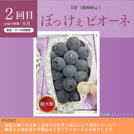 岡山県鏡野町のふるさと納税 ＜定期便全3回＞シャインマスカット晴王1房800g 2回とぼっけぇピオーネ1房800g 1回の計3回コース [040-a013]