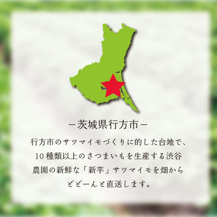 茨城県行方市のふるさと納税 2025年度産 しっとり甘い鮮やかな紫いも ふくむらさき 約10kg｜さつまいも 芋 お芋 ふくむらさき 紫いも 渋谷農園 先行予約 茨城県 行方市(BZ-35)