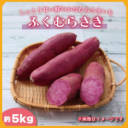 茨城県行方市のふるさと納税 2025年度産 しっとり甘い鮮やかな紫いも ふくむらさき 約5kg｜さつまいも 芋 お芋 ふくむらさき 紫いも 渋谷農園 先行予約 茨城県 行方市(BZ-36)