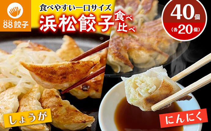 静岡県浜松市のふるさと納税 餃子 浜松 88ぱちぱち餃子 40個 (にんにくあり20個 にんにくなし 20個) セット 浜松餃子 詰め合わせ 国産 冷凍餃子 お試し 食べ比べ 惣菜 おかず 点心 中華 ご当地 ご当地グルメ ニンニク不使用 ギョーザ 冷凍 静岡県浜松市 浜松市 配送不可：離島
