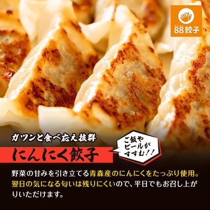 静岡県浜松市のふるさと納税 餃子 浜松 88ぱちぱち餃子 40個 (にんにくあり20個 にんにくなし 20個) セット 浜松餃子 詰め合わせ 国産 冷凍餃子 お試し 食べ比べ 惣菜 おかず 点心 中華 ご当地 ご当地グルメ ニンニク不使用 ギョーザ 冷凍 静岡県浜松市 浜松市 配送不可：離島