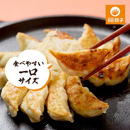 静岡県浜松市のふるさと納税 餃子 浜松 88ぱちぱち餃子 40個 (にんにくあり20個 にんにくなし 20個) セット 浜松餃子 詰め合わせ 国産 冷凍餃子 お試し 食べ比べ 惣菜 おかず 点心 中華 ご当地 ご当地グルメ ニンニク不使用 ギョーザ 冷凍 静岡県浜松市 浜松市 配送不可：離島