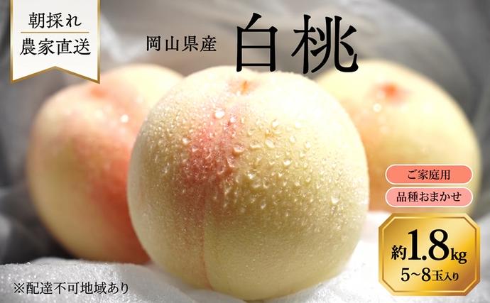 桃 2027年 先行予約 岡山県産 白桃 