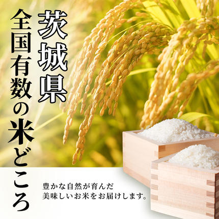 茨城県つくばみらい市のふるさと納税 【 定期便（5～7月出荷）】品種おまかせ 5kg ×3回 茨城県つくばみらい市産 令和7年産 精米 こしひかり 米 コメ こめ 単一米 限定 茨城県産 国産 美味しい お米 おこめ おコメ [CL190-NT]