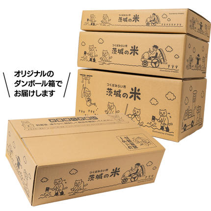 茨城県つくばみらい市のふるさと納税 【 定期便（5～7月出荷）】品種おまかせ 5kg ×3回 茨城県つくばみらい市産 令和7年産 精米 こしひかり 米 コメ こめ 単一米 限定 茨城県産 国産 美味しい お米 おこめ おコメ [CL190-NT]
