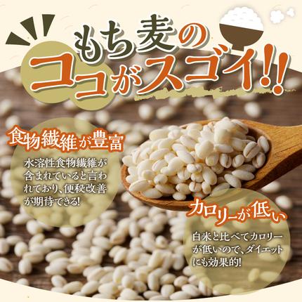 北海道滝川市のふるさと納税 【ごはんで腸活】もち麦ごはんレトルト48パック