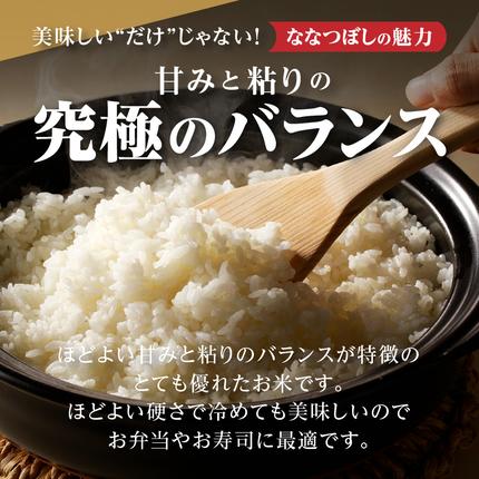 北海道滝川市のふるさと納税 特A 北海道滝川産 ななつぼし 無洗米 3kg【R8年産】お米マイスター 新米 単一米 産地限定米 ブランド米 北海道米 北海道産 白米 精米 米 こめ コメ お米 ご飯 おにぎり 道産 送料無料 むせんまい 限定 贈答 お試し