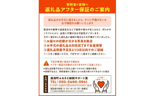 和歌山県湯浅町のふるさと納税 DZ6217_【2026年先行予約】ご家庭用 有田みかん 大玉(2L,3Lサイズ混合) 約9kg