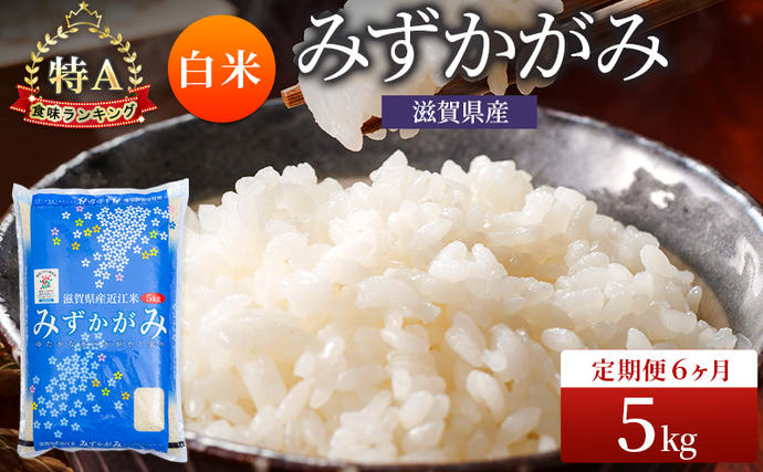 みずかがみ 白米 5kg 定期 6回　米 