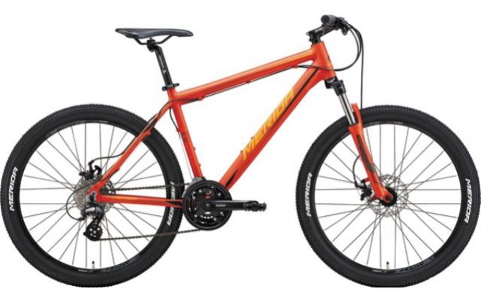 埼玉県飯能市のふるさと納税 レンタルサイクル 2名様1日利用サービス券[52210219] 体験チケット