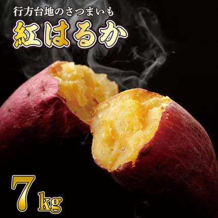 【訳あり】 紅はるか 約7kg 【2026