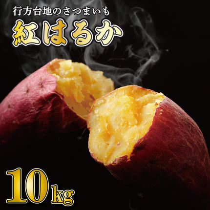 【訳あり】 紅はるか 約10kg 【202