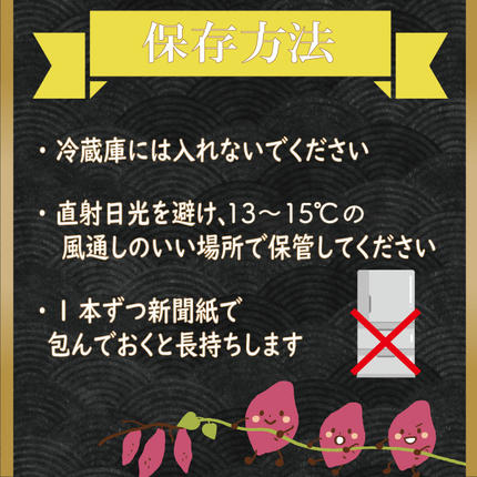 茨城県行方市のふるさと納税 【訳あり】 紅はるか 約10kg 【2026年9月より順次発送】｜紅はるか 無選別 先行予約 行方台地 さつまいも 茨城県(CU-55-4)