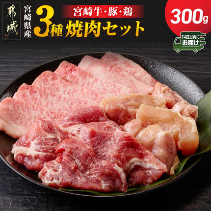 宮崎県産≪宮崎牛・豚・鶏≫3種の焼肉セット300g≪みやこんじょ快速便≫〔AA-89-003-300g-R〕