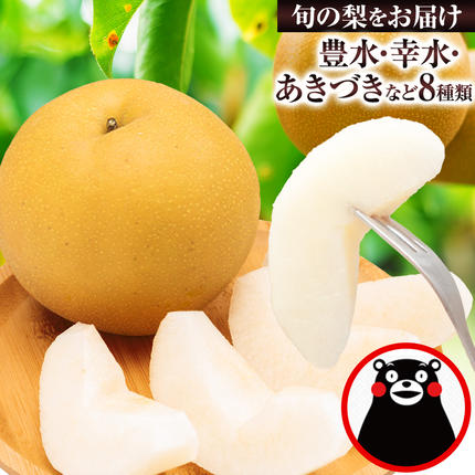 【2026年先行予約】梨 くまもと梨 秋 